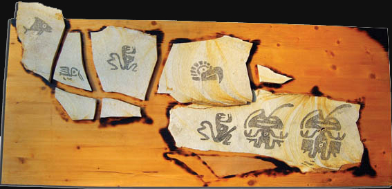 (R)evolution for sale - by Kave Atefie