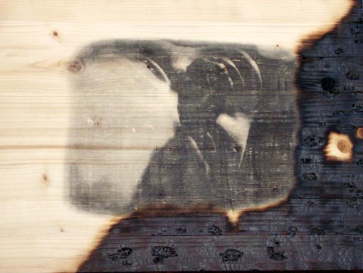 And it&acute;s Memories that I&acute;m Stealing by Kave Atefie